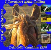 I cavalieri della collina